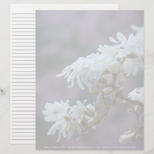 Lámina Starry Magnolia 5780