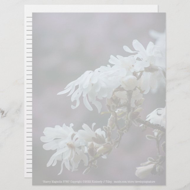 Lámina Starry Magnolia 5780 (Anverso / Reverso)