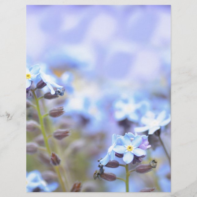 Lámina Sueño en azul (Anverso)