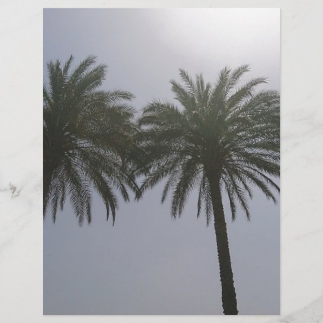 Lámina Sun Trees Egipto. (Anverso)