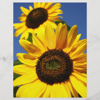 Lámina Sunflower