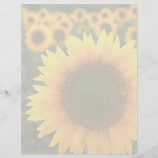 Lámina Sunflower 2