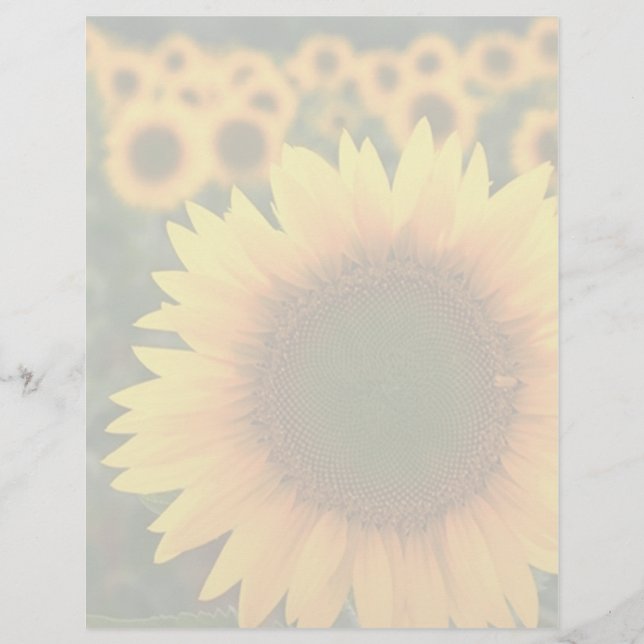 Lámina Sunflower 2 (Anverso)