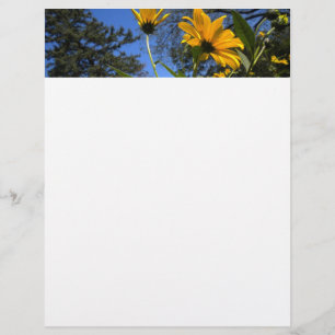 Lámina Sunflower N Sky Letterhead