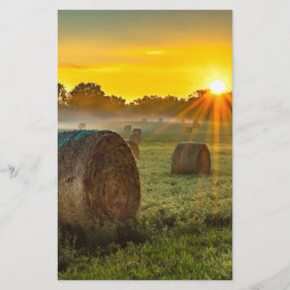 Lámina Sunrise and Bales