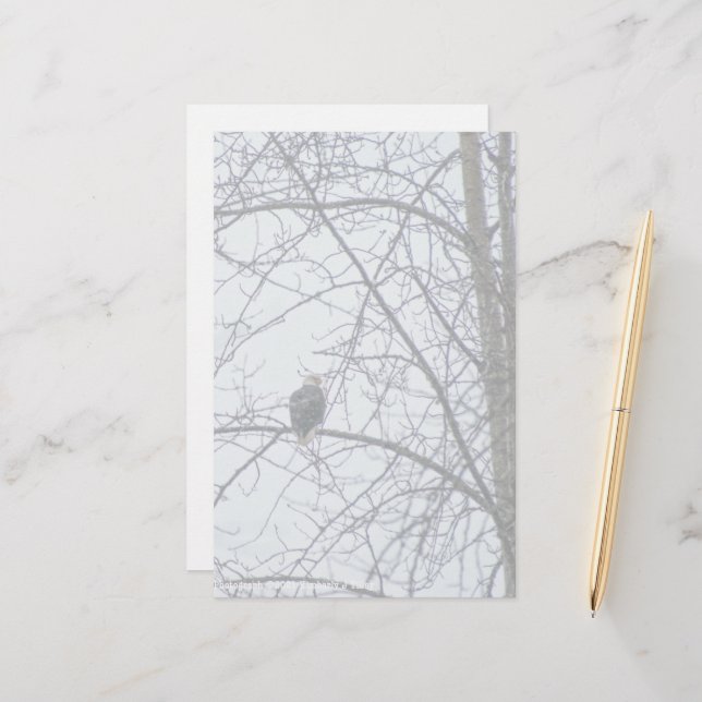 Lámina Supervisión (Anverso/Reverso In Situ)