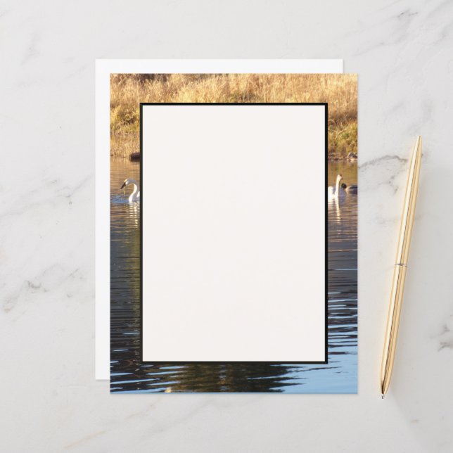 Lámina Swans n Ducks Stationery Sheet (Anverso/Reverso In Situ)