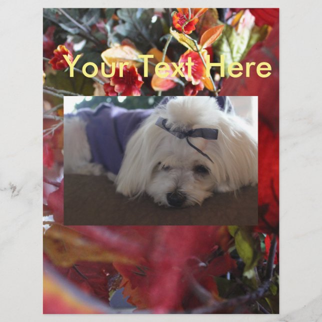 Lámina Temporadas maltesas abandonan el diseño (Anverso)