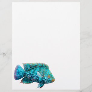 Lámina Texas Cichlid Fish Letterhead