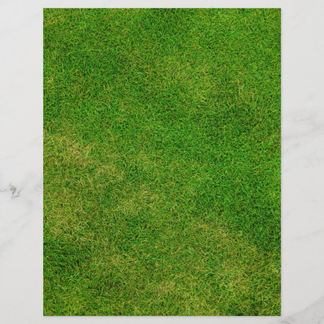 Lámina Textura de hierba verde (Anverso)