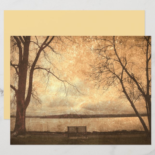 Lámina Textura rústica de los bancos de los árboles del p (Anverso / Reverso)