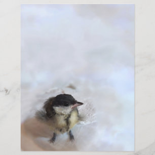Lámina Tidi my Bird the Parus Major