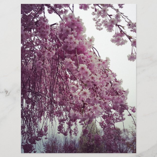 Lámina Tiempo de primavera (Anverso)