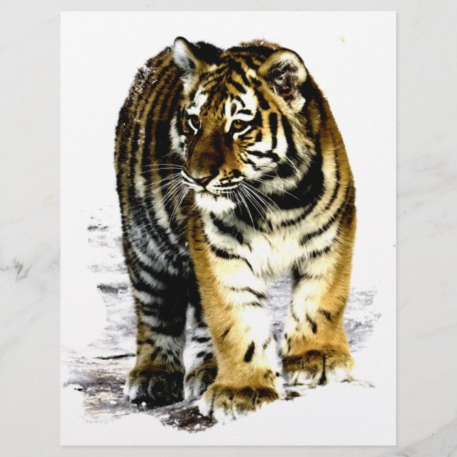 Lámina Tigre (Anverso)