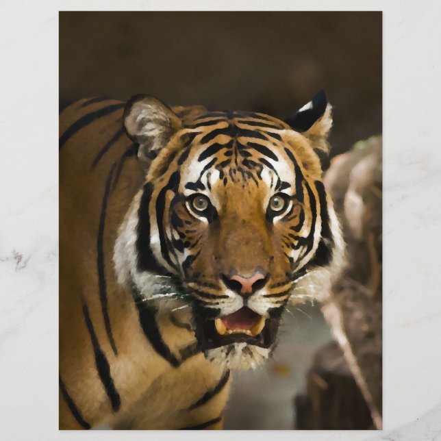Lámina Tigre de Siberia (Anverso)