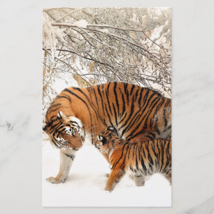 Lámina Tigres en la nieve