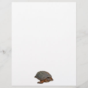 Lámina Tortuga encantadora de Terrapin