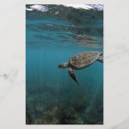 Lámina Tortuga marina nadando bajo el agua Islas Galápago