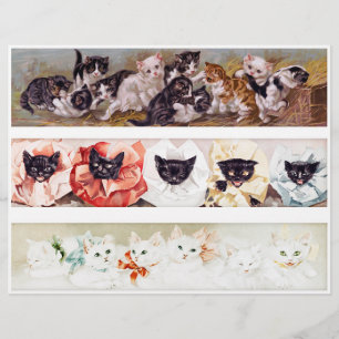 Lámina Tres filas de gatitos de la era victoriana