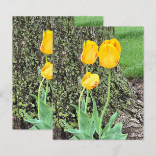 Lámina Tres Tulipanes Amarillos / Papel de Scrapbook