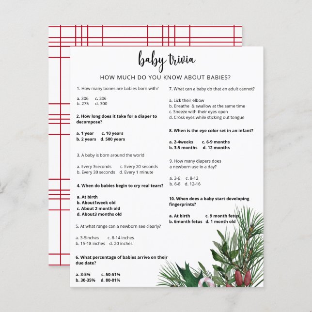 Lámina Trivialidad de bebé de nieve evergreen | Juego Bab (Anverso / Reverso)