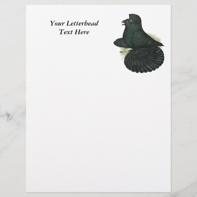 Lámina Trumpeter Pigeon Black (Anverso)