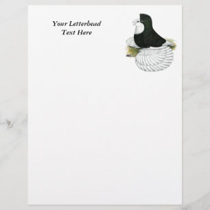Lámina Trumpeter Pigeon Black Baldhead