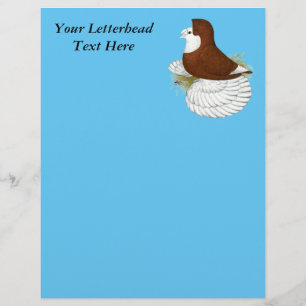 Lámina Trumpeter Pigeon Red Baldhead