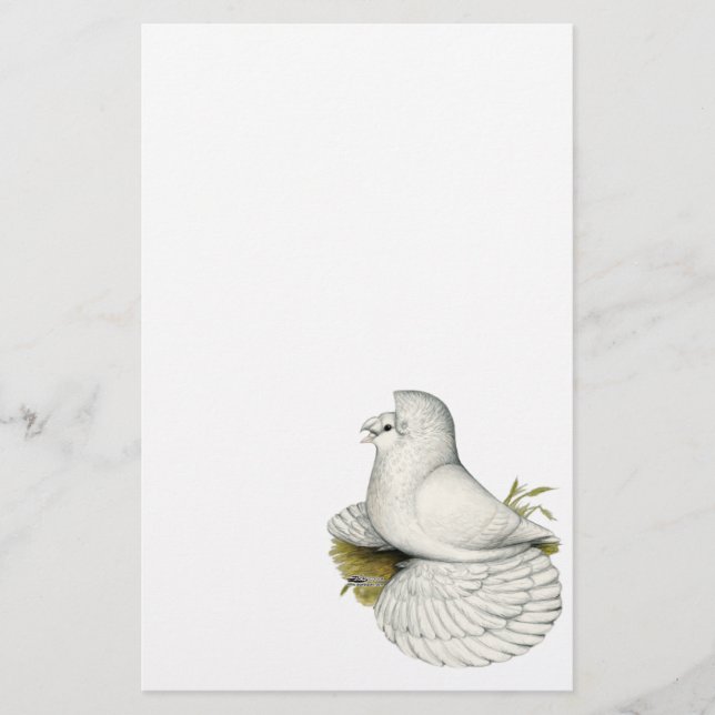 Lámina Trumpeter Pigeon White (Anverso)