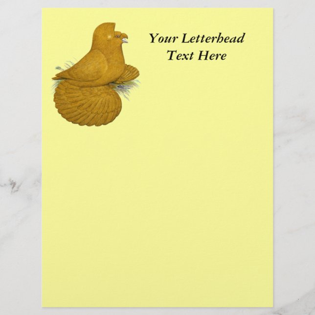 Lámina Trumpeter Pigeon Yellow (Anverso)