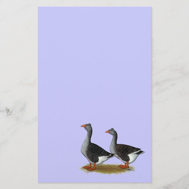 Lámina Tufted Toulouse Geese (Anverso)