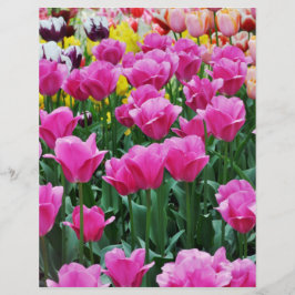 Lámina Tulip Garden Scrapbook Paper