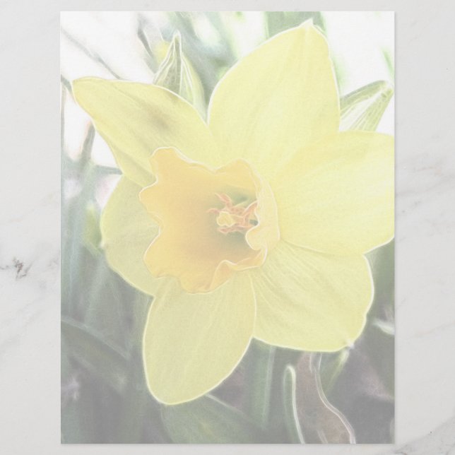 Lámina Un Alegre Daffodil Amarillo (Anverso)
