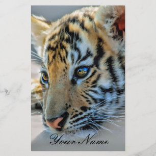 Lámina Un bebé tigre lindo