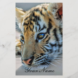 Lámina Un bebé tigre lindo