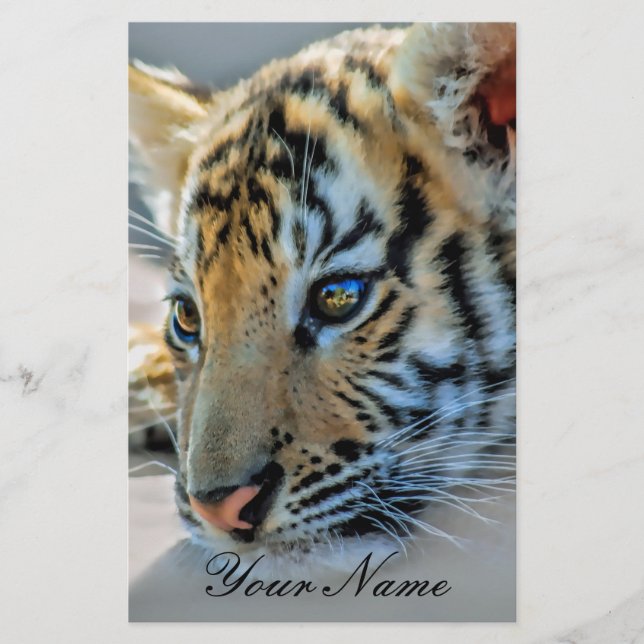 Lámina Un bebé tigre lindo (Anverso)