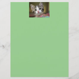 Lámina Un lindo gatito con ojos verdes