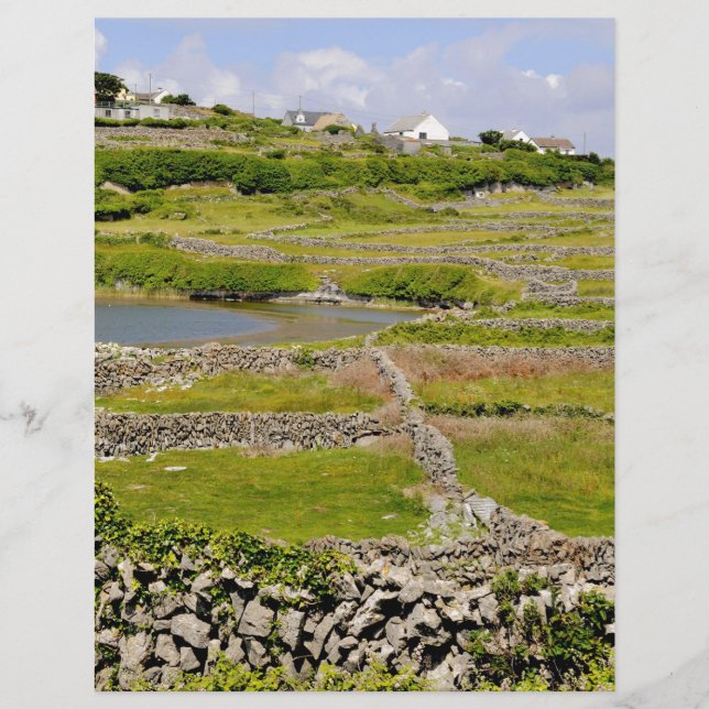 Lámina Un muro de piedra irlandés (Anverso)