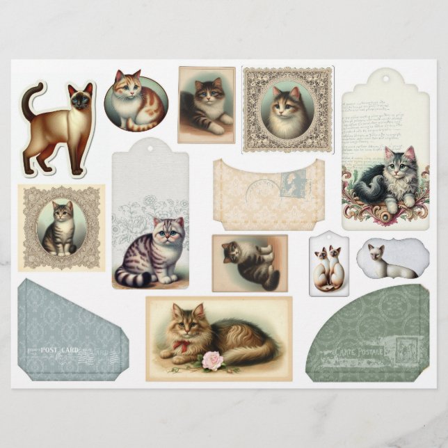 Lámina Un sobre grande más gatos en marcos de harina (Anverso)