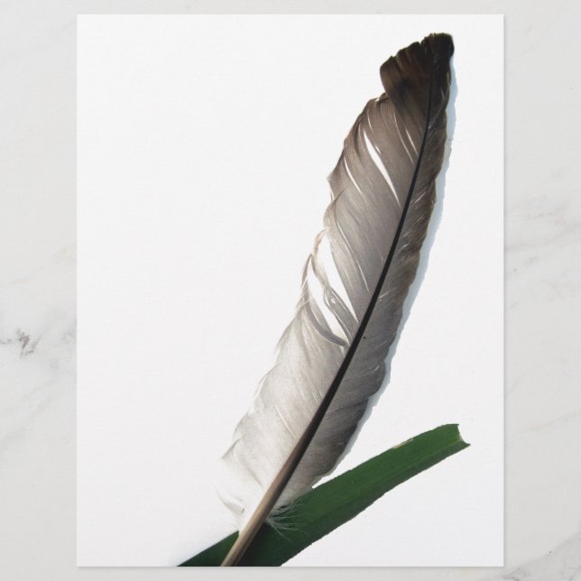 Lámina Una pluma (Anverso)