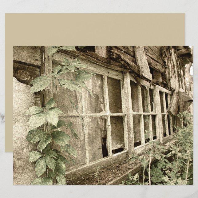 Lámina Ventanas de la antigua fábrica de madera rústica d (Anverso / Reverso)