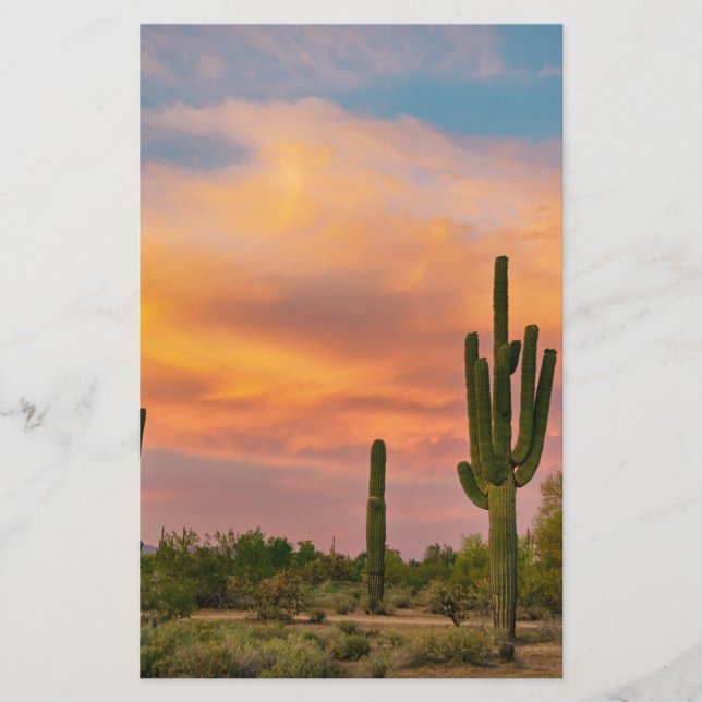 Lámina Vida del Desierto Saguaro (Anverso)