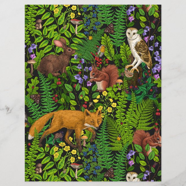 Lámina Vida silvestre (Anverso)