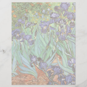 Lámina Vincent van Gogh - Irises