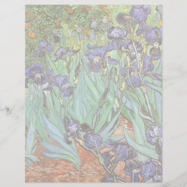 Lámina Vincent van Gogh - Irises (Anverso)