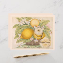 Lámina Vintage Lemons Citrus Fruit Drawing Scrapbook Pági
