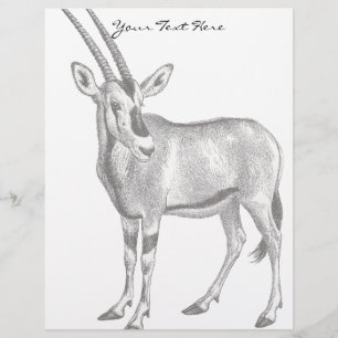 Lámina Vintage Oryx Letterhead