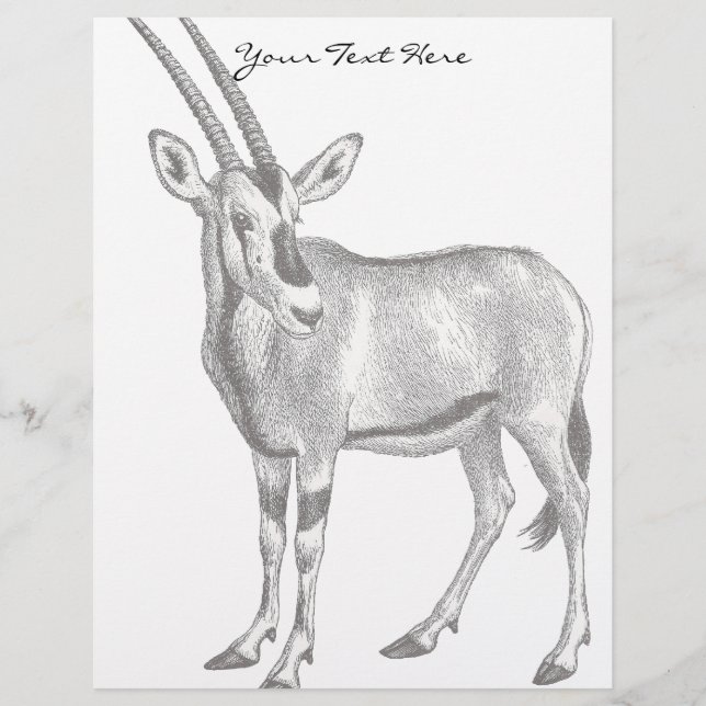 Lámina Vintage Oryx Letterhead (Anverso)