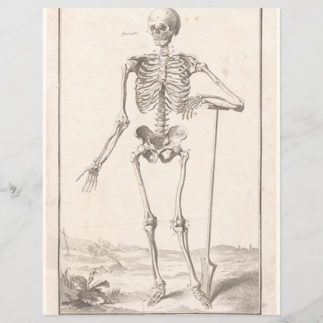 Lámina Vintage skeleton scrapbooking ephemera page (Anverso)