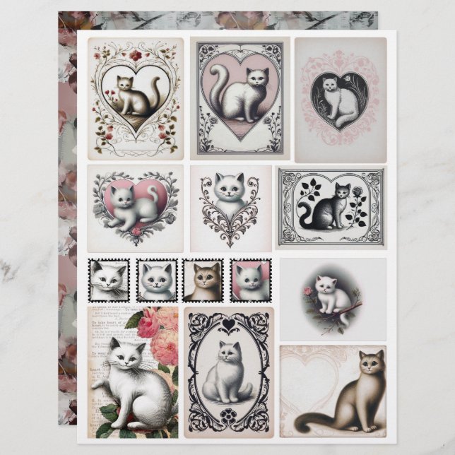 Lámina Vintage Style Black and Pink Kitten Illustrations (Anverso / Reverso)